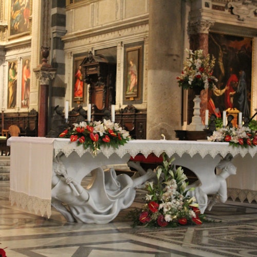 Leaning Tower of Pisa & Cathedral: Guided Tour