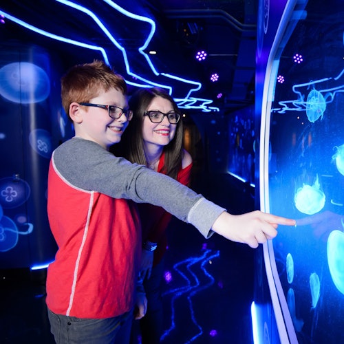SEA LIFE London & Shrek's Adventure: Entry Ticket — gallery 1