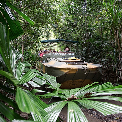Grand Kuranda Day Tour & Transfer from Cairns — gallery 1
