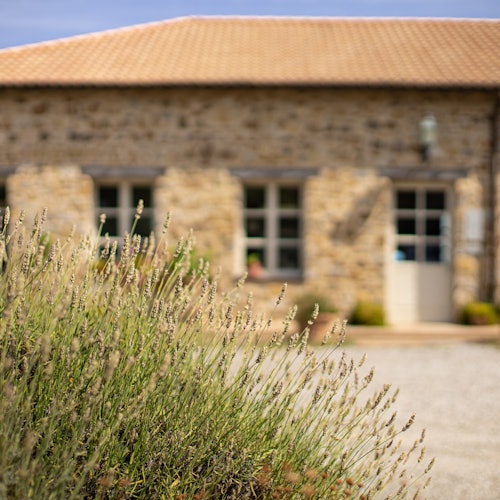 Corte Pavone Winery: Local Wine Tasting With Gourmet Appetizers