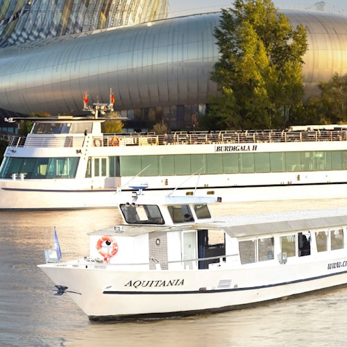 Bordeaux: Guided River Cruise + Drinks — gallery 3