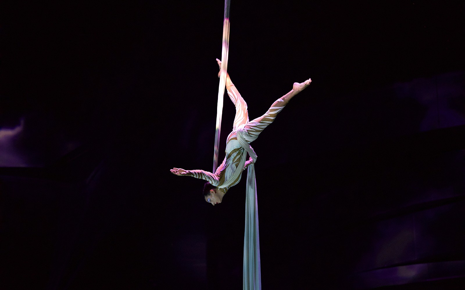 La Perle by Dragone Show Tickets — gallery 5