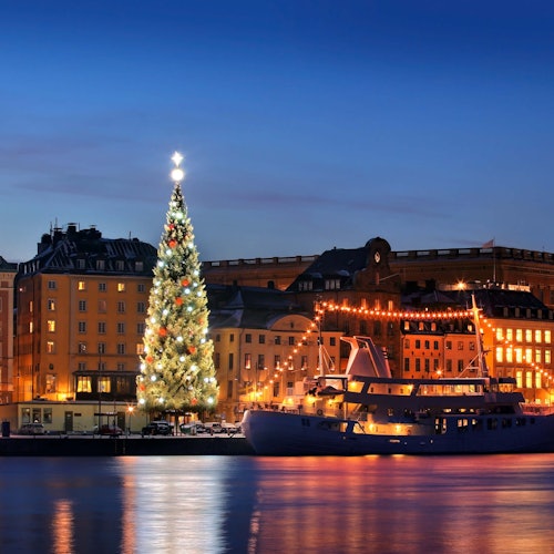 Stockholm: Christmas Spirit Tour