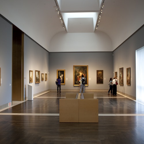 Houston CityPASS®: Admission to 5 Attractions + Discounts — gallery 3