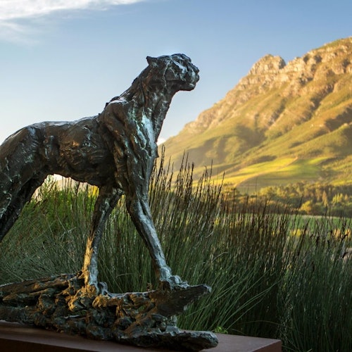 Cape Town: Private 3 Wine Regions Tour + Hotel Transfer — gallery 1