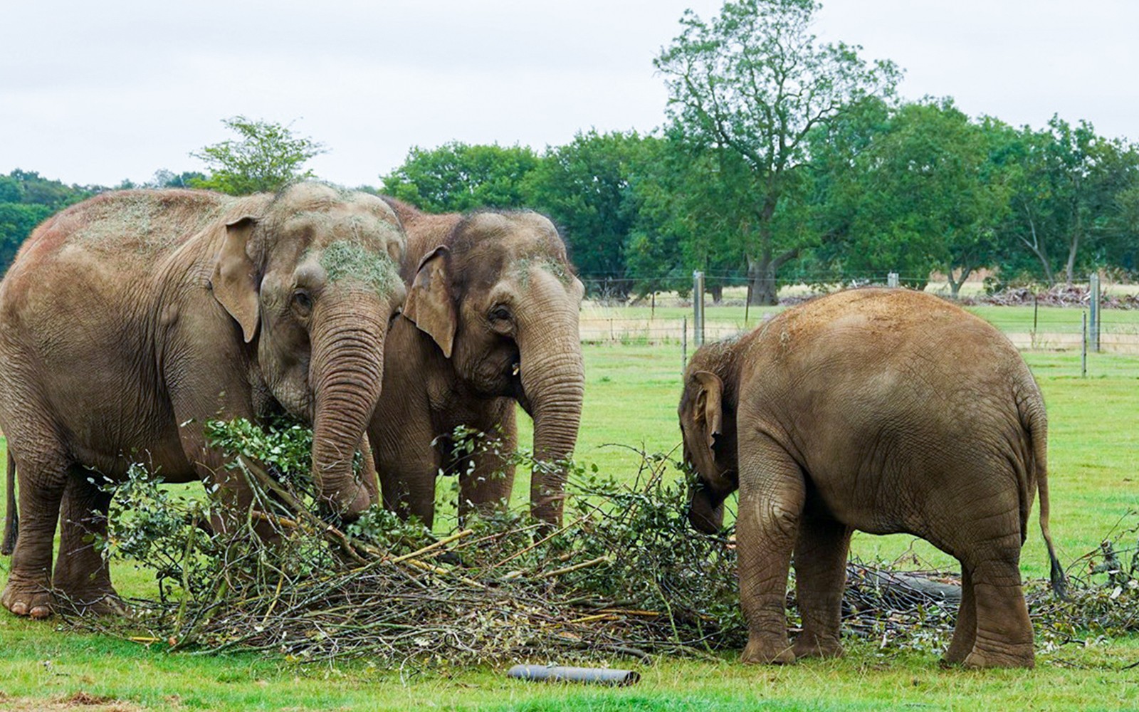 Whipsnade Zoo Entrance Tickets — gallery 2