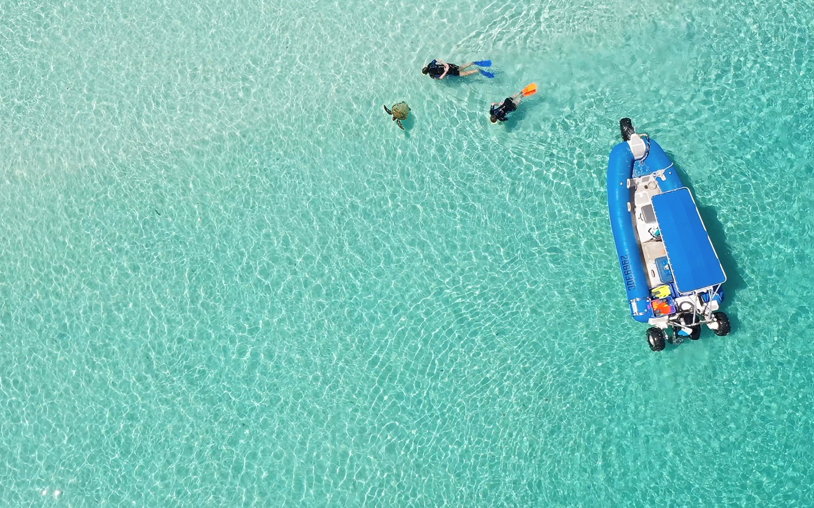 Full Day Whale Watching Cruise and Offbeat K'Gari Tour with Lunch — gallery 2
