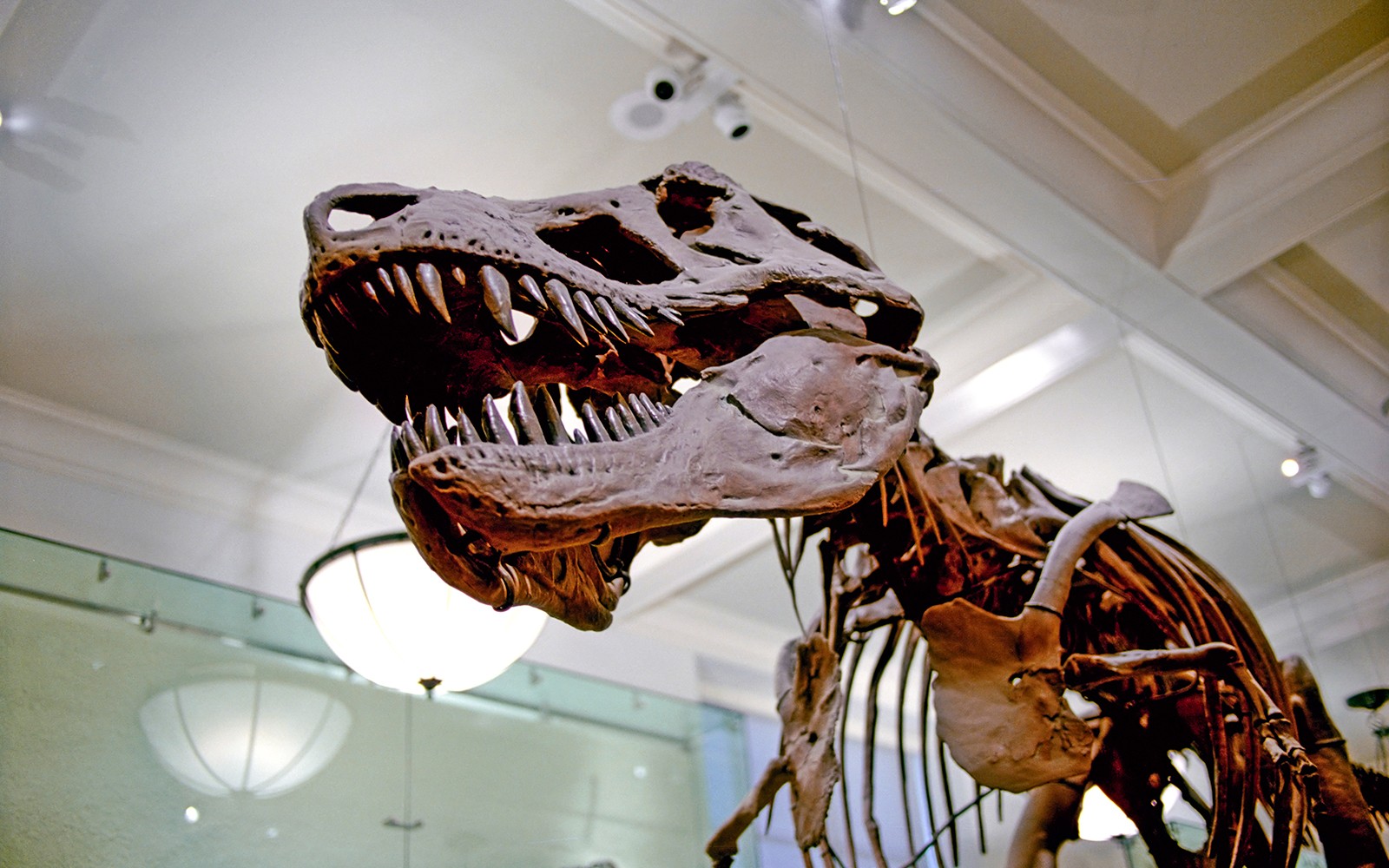 Melbourne Musuem Tickets