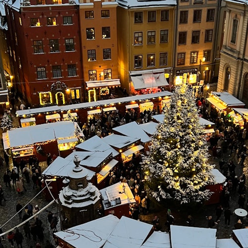 Stockholm: Guided Private Day Tour