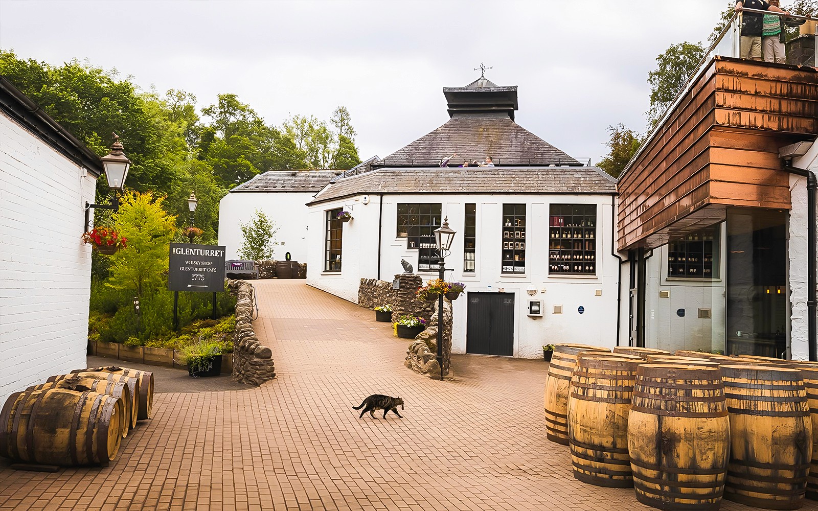 Day Tour Whisky & Waterfalls with Transfers from Edinburgh  & Distillery Entry — portrait