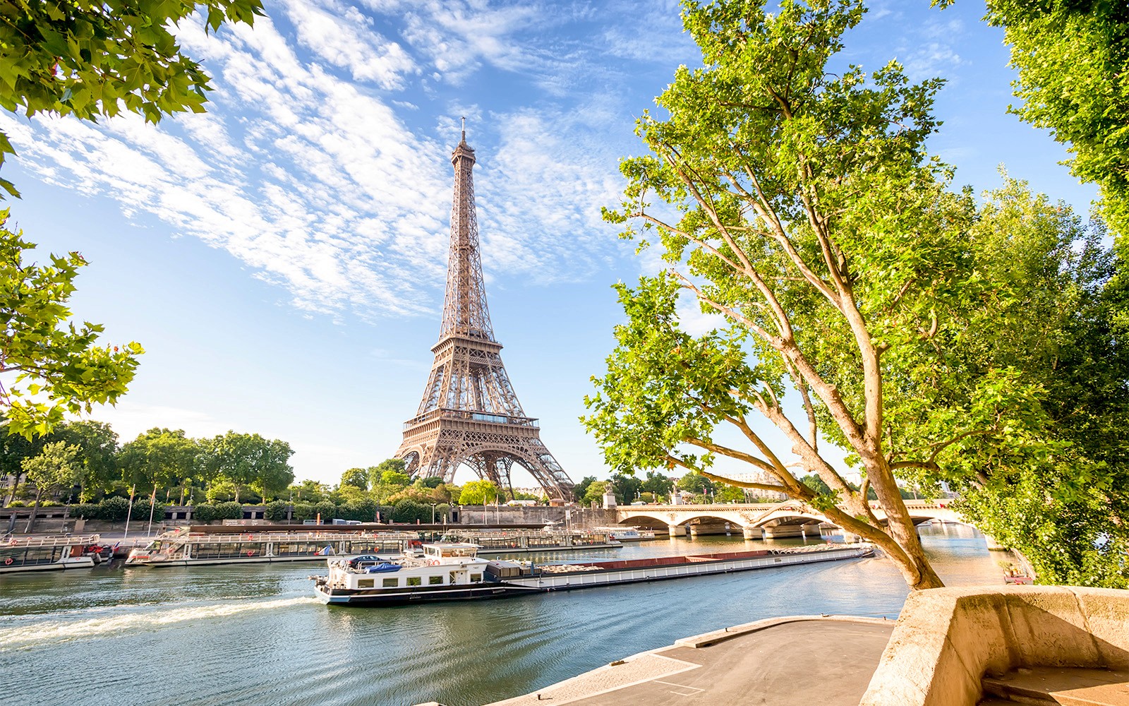 Seine River Cruise from Pont de l'Alma with Sparkling Champagne