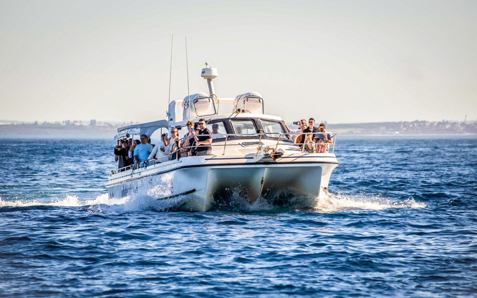 Sydney Small Boat Whale Watching Cruise