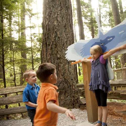 Vancouver: Capilano Suspension Bridge Park & City Tour — gallery 1