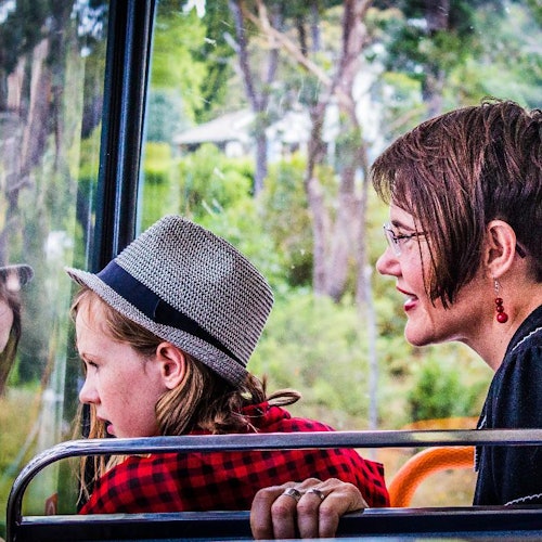 1-hour Blue Mountains Sightseeing Tour — gallery 1