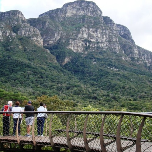 Robben Island & Groot Constantia: Entry Ticket + Boat Transfer — gallery 2
