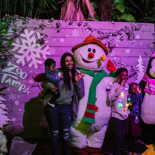 ZooTampa: Christmas in the Wild — gallery 1