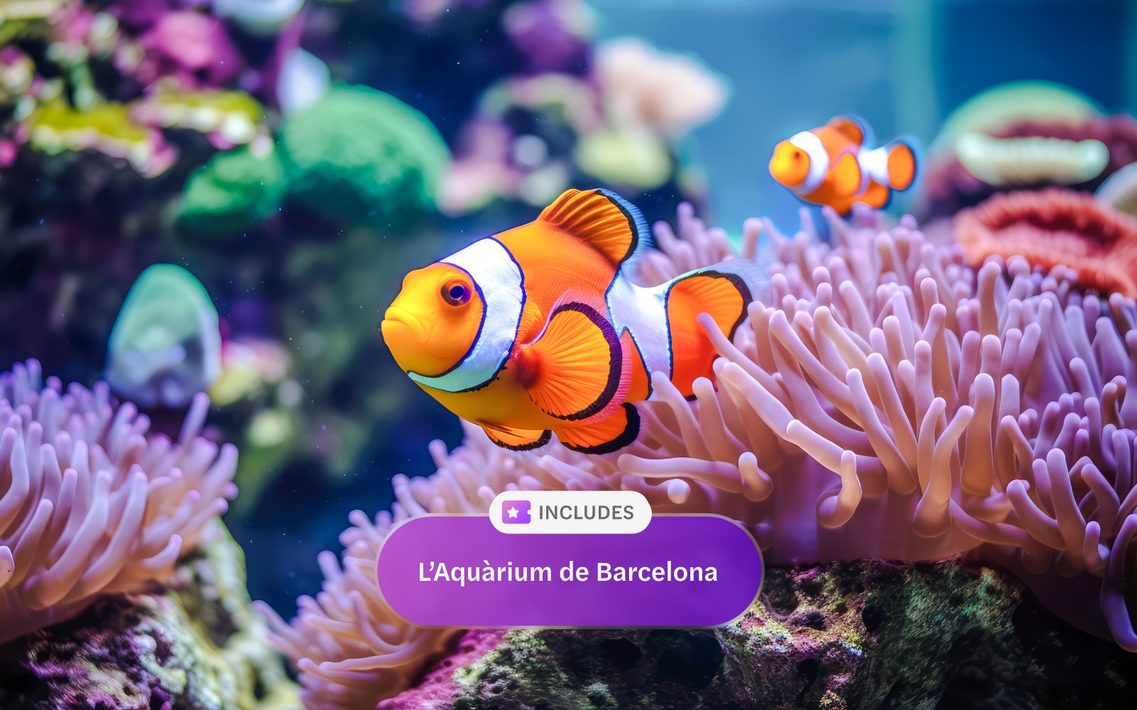 Go City Barcelona All Inclusive Pass: Access to 40+ Attractions