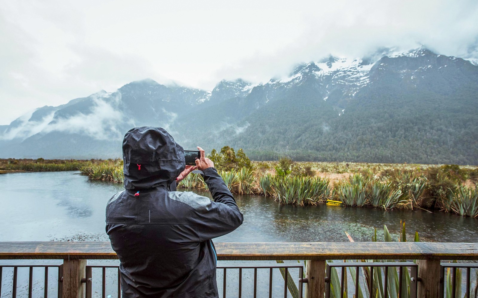 From Queenstown: Milford Sound Day Trip with Cruise, & Return Transfers