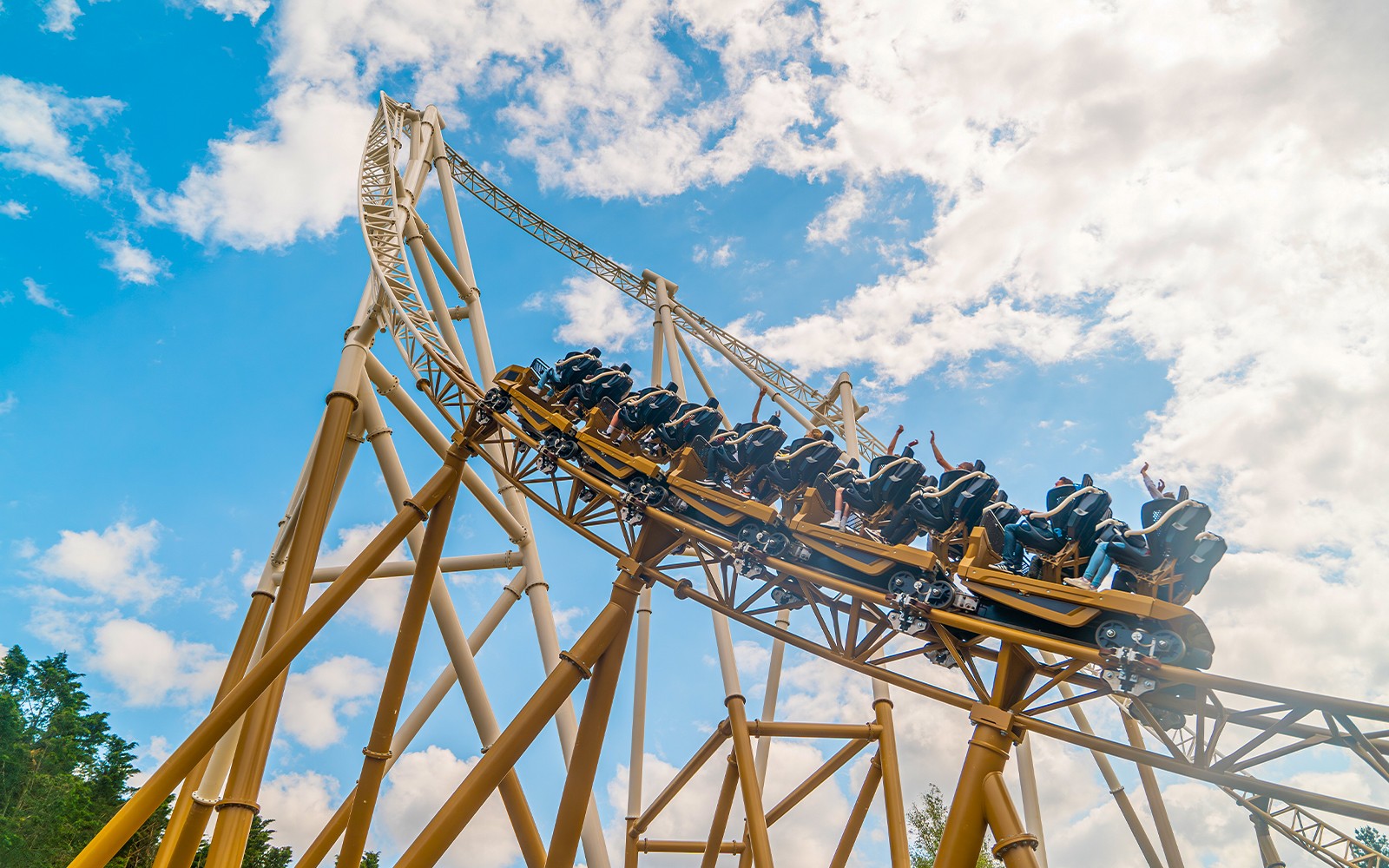 Thorpe Park Entry Tickets — portrait