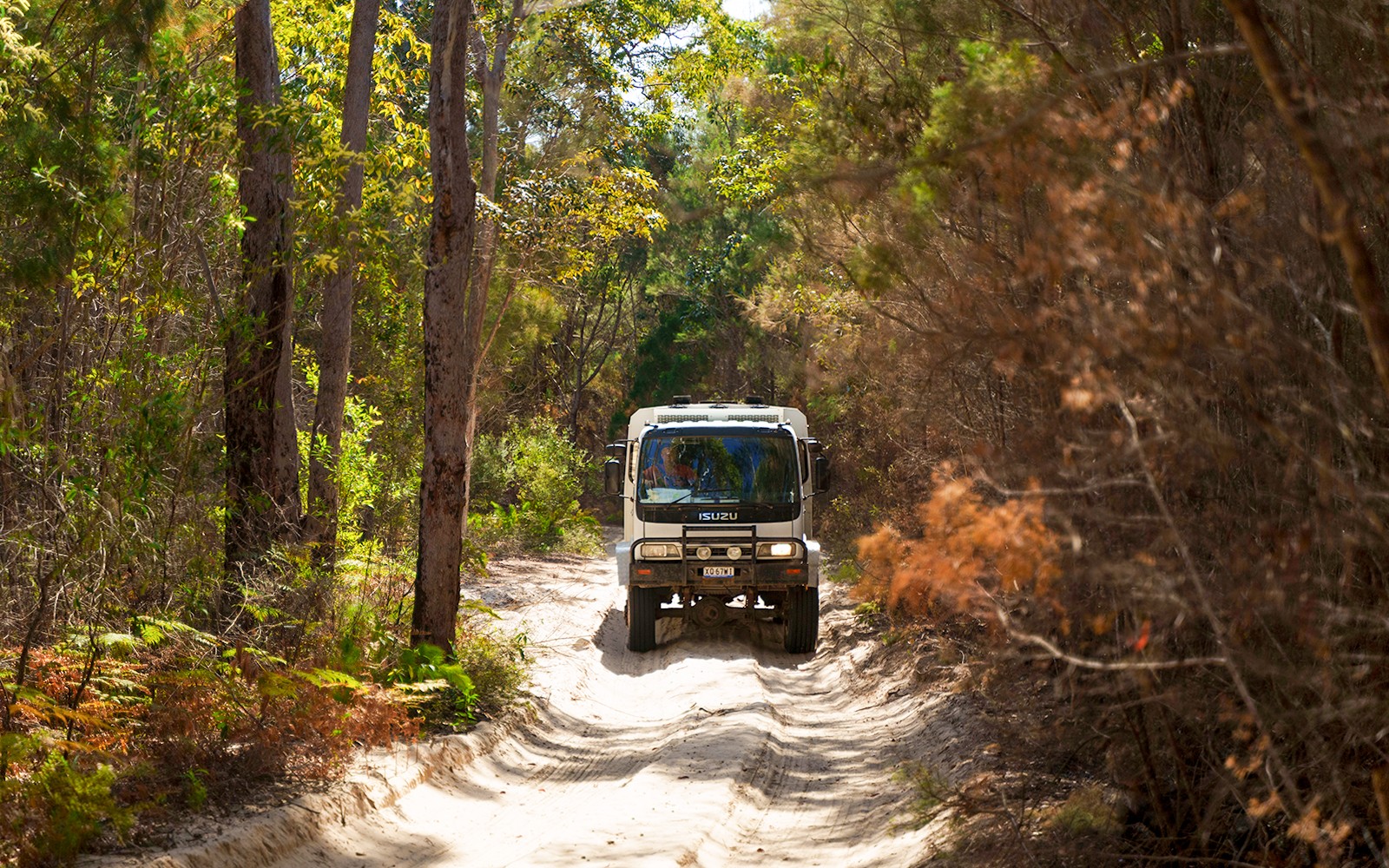 Moreton Island: Tangalooma Wrecks Snorkel, Clear Kayak, & 4WD Desert Tour with Lunch — gallery 2