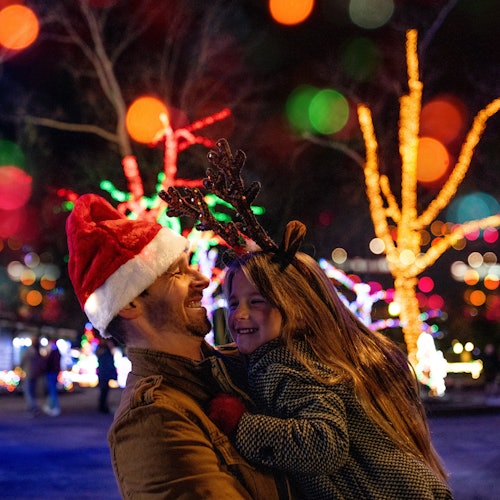 Dutch Winter Wonderland: Entry Ticket — gallery 2