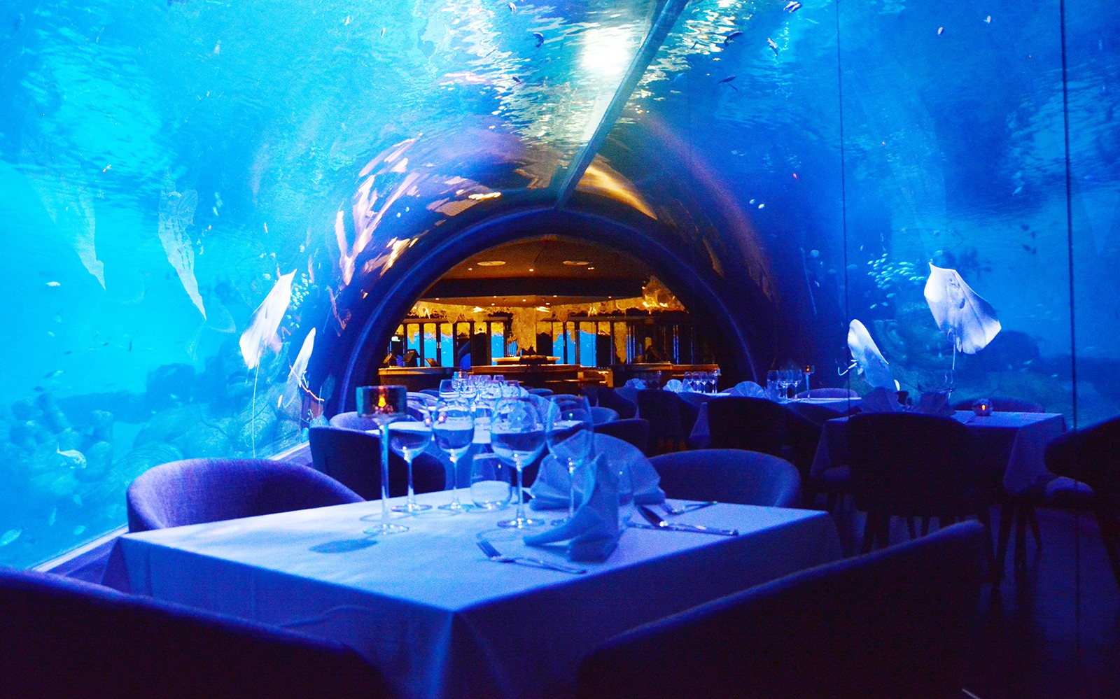 Aquaria Phuket Tickets: Non-Thai Residents — gallery 5
