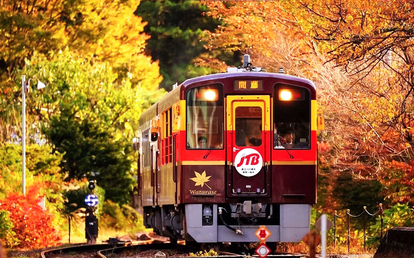From Osaka: Arashiyama & Bamboo Grove Tour — gallery 3