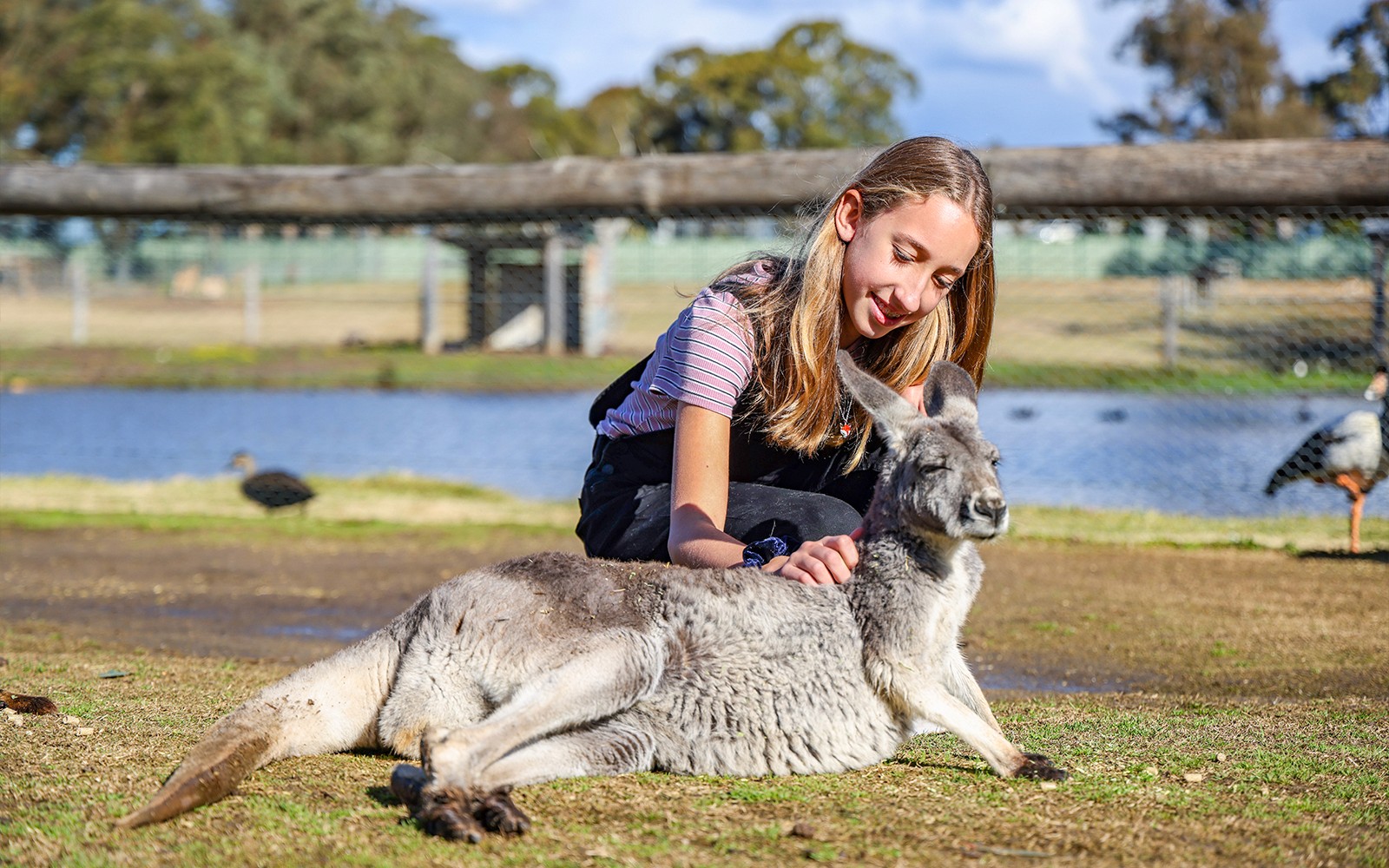 Featherdale Wildlife Park Tickets — gallery 1