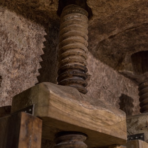 MOOM Matera Olive Oil Museum: Entry Ticket — gallery 2