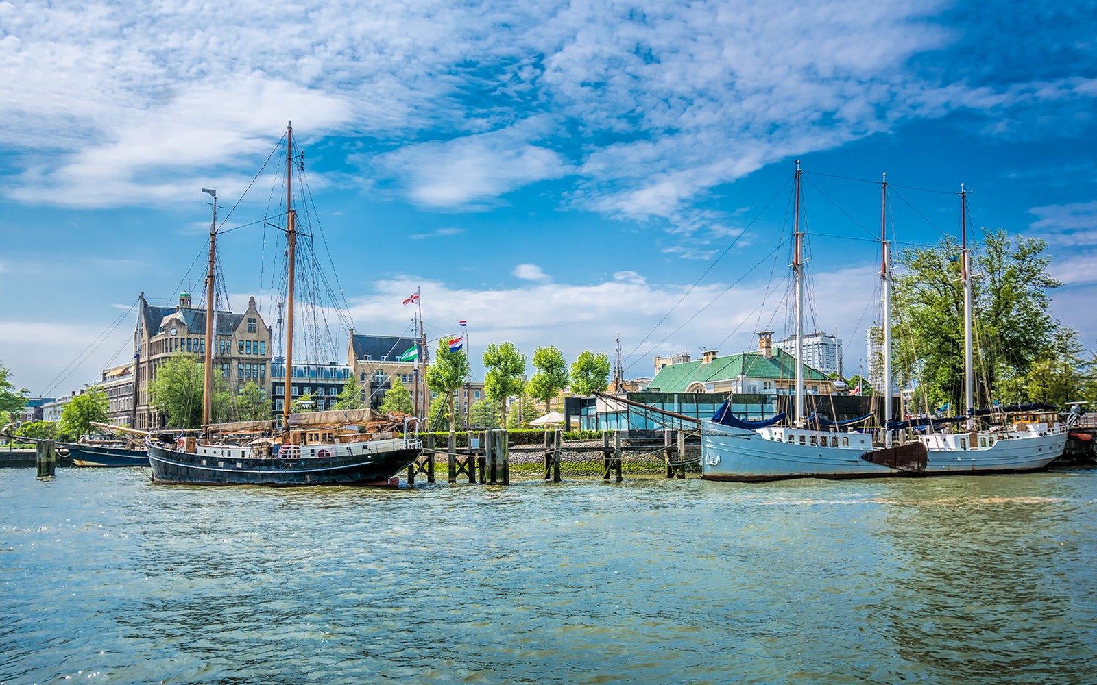 75-Min Rotterdam Harbor Sightseeing Cruise — gallery 2