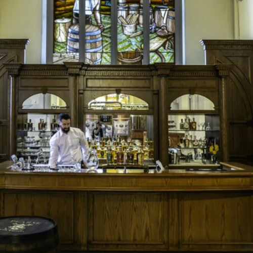 Pearse Lyons Distillery: Guided Tour with 4 Tastings — portrait