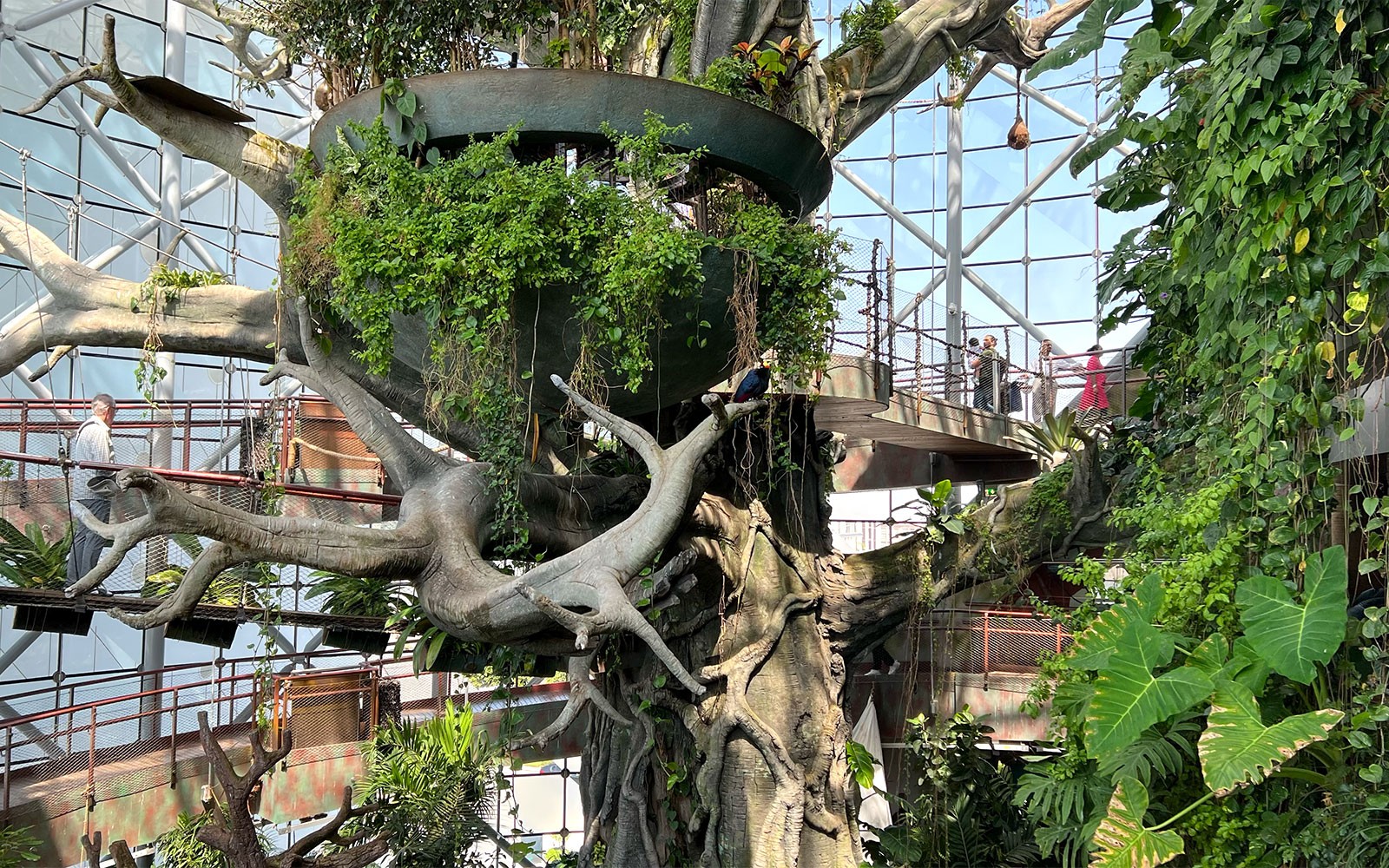 Green Planet Dubai Tickets