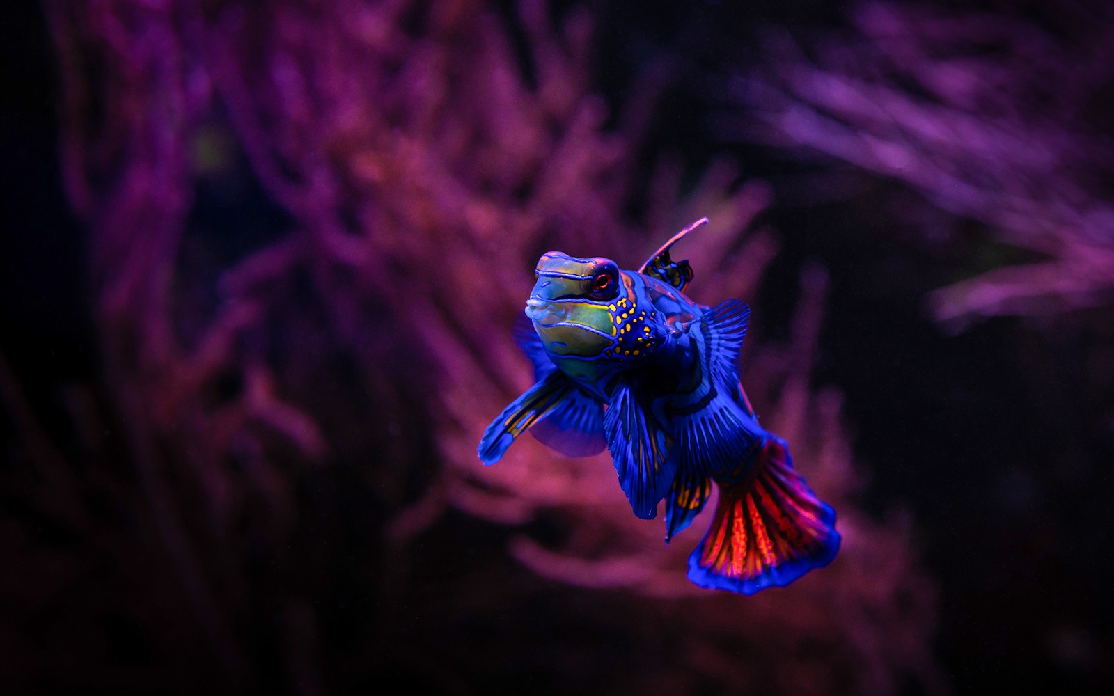Seville Aquarium Tickets — gallery 2