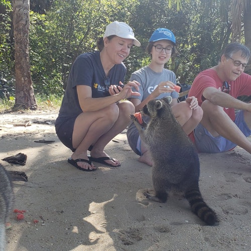 Biscayne Bay & Raccoon Island: SUP/Kayak Adventure — gallery 2