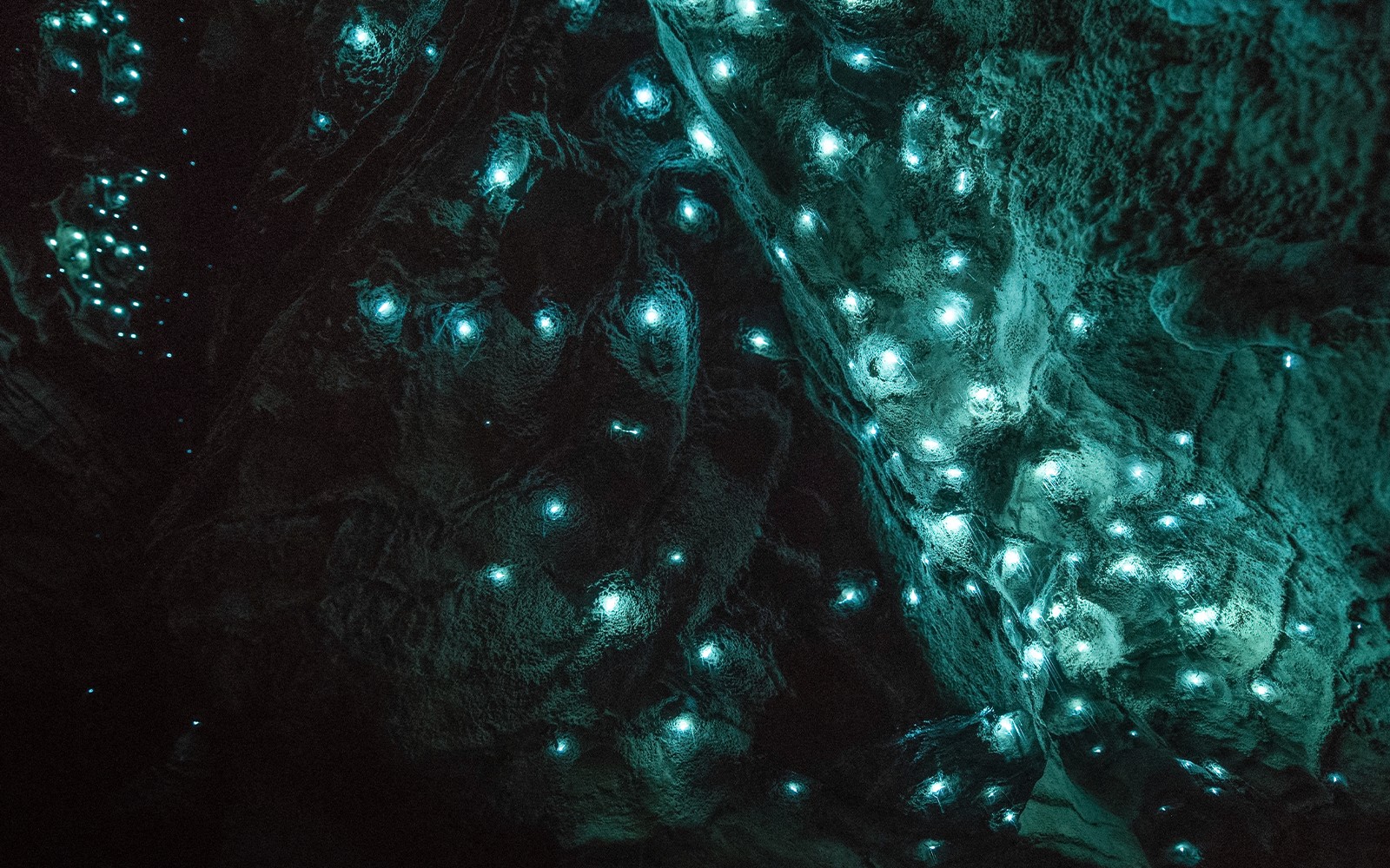 Aranui Cave Guided Tour