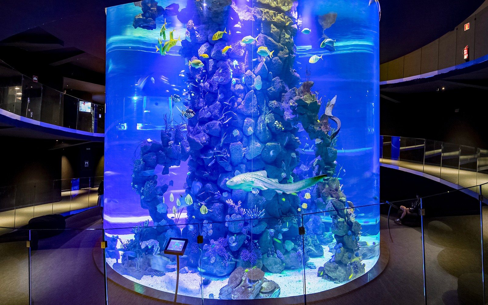 Poema del Mar Aquarium Tickets