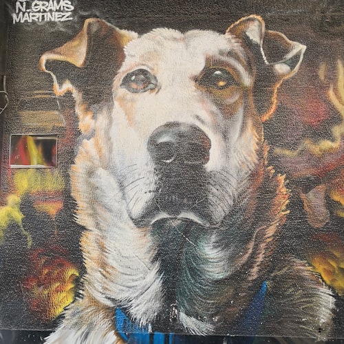 Athens: Guided Street Art Tour