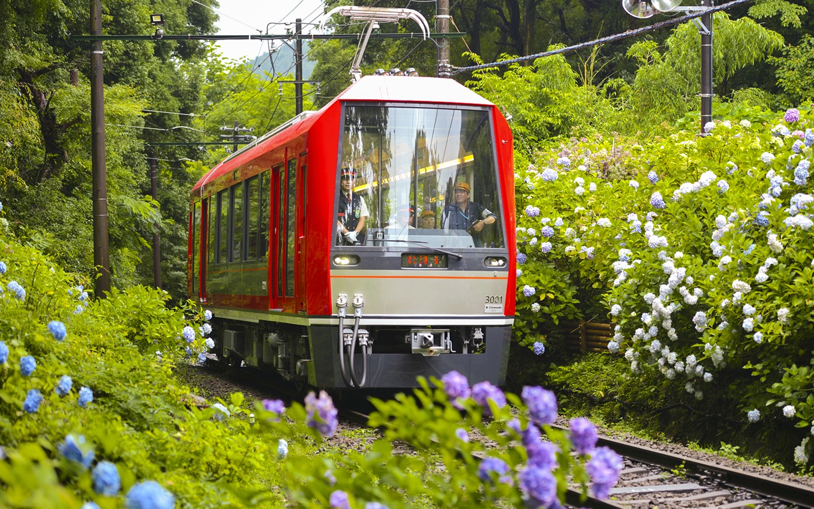 Hakone & Kamakura 3-Day Transportation Pass — gallery 2