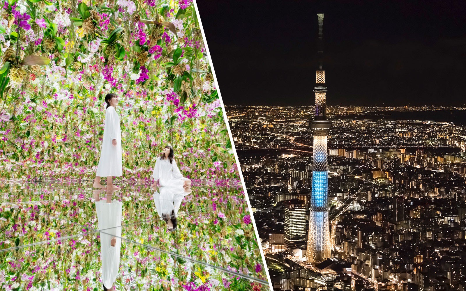 Combo: teamLab Planets Tokyo + TOKYO SKYTREE Tickets — gallery 1