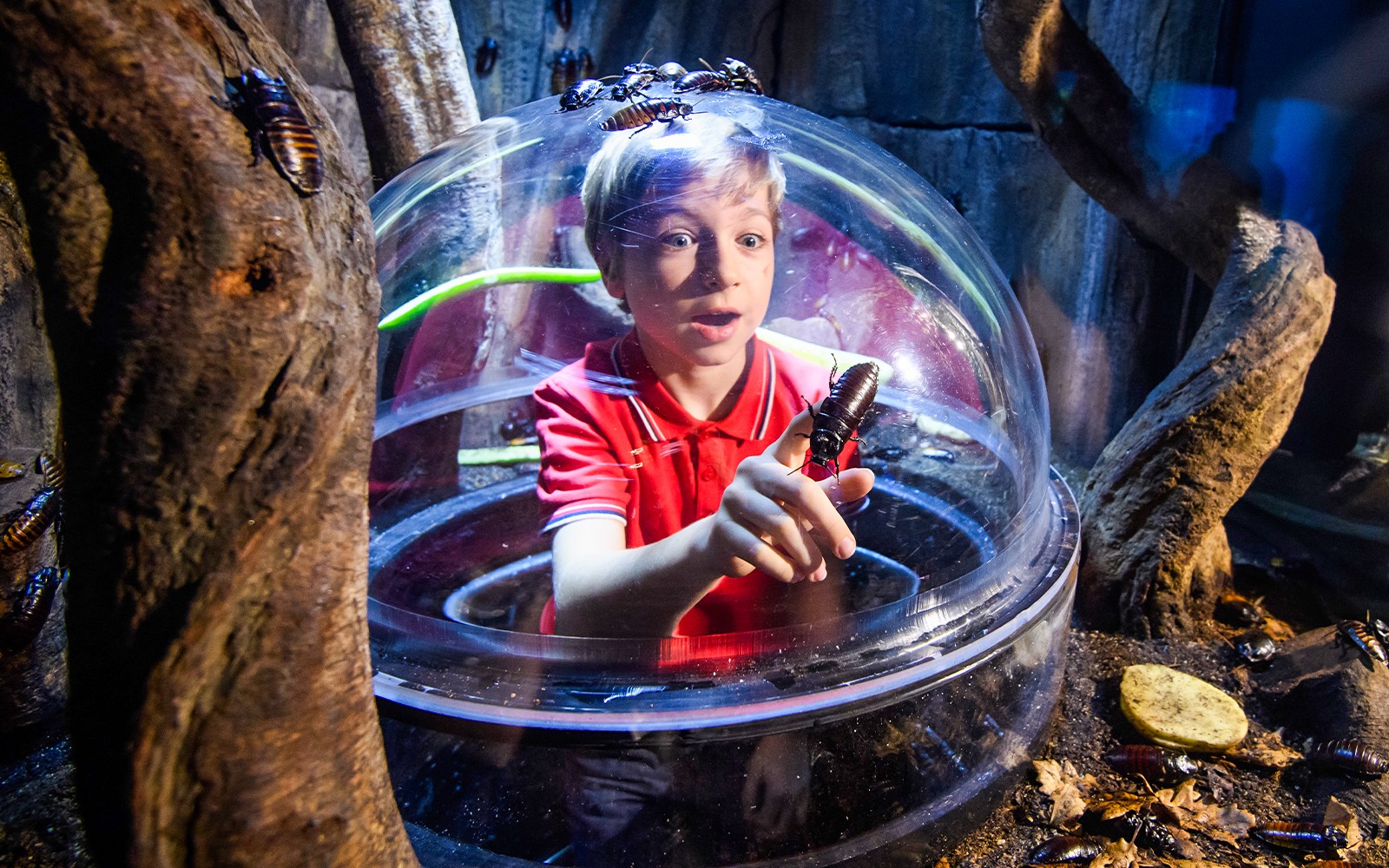 SEA LIFE London Aquarium: Anytime Entry Tickets