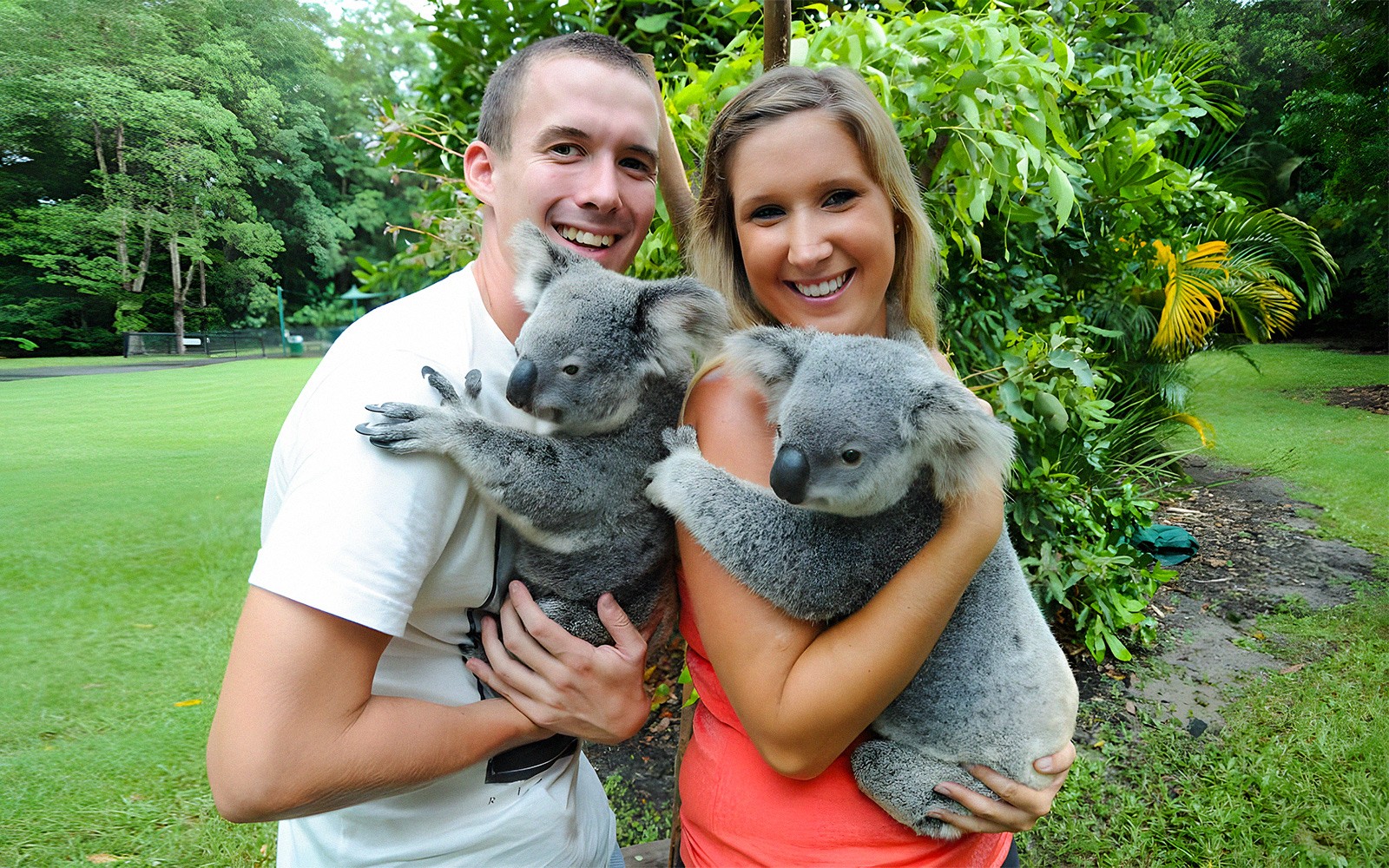 From Brisbane: Australia Zoo, Mooloolaba Beach & Surf Club Tour with Lunch & Drinks