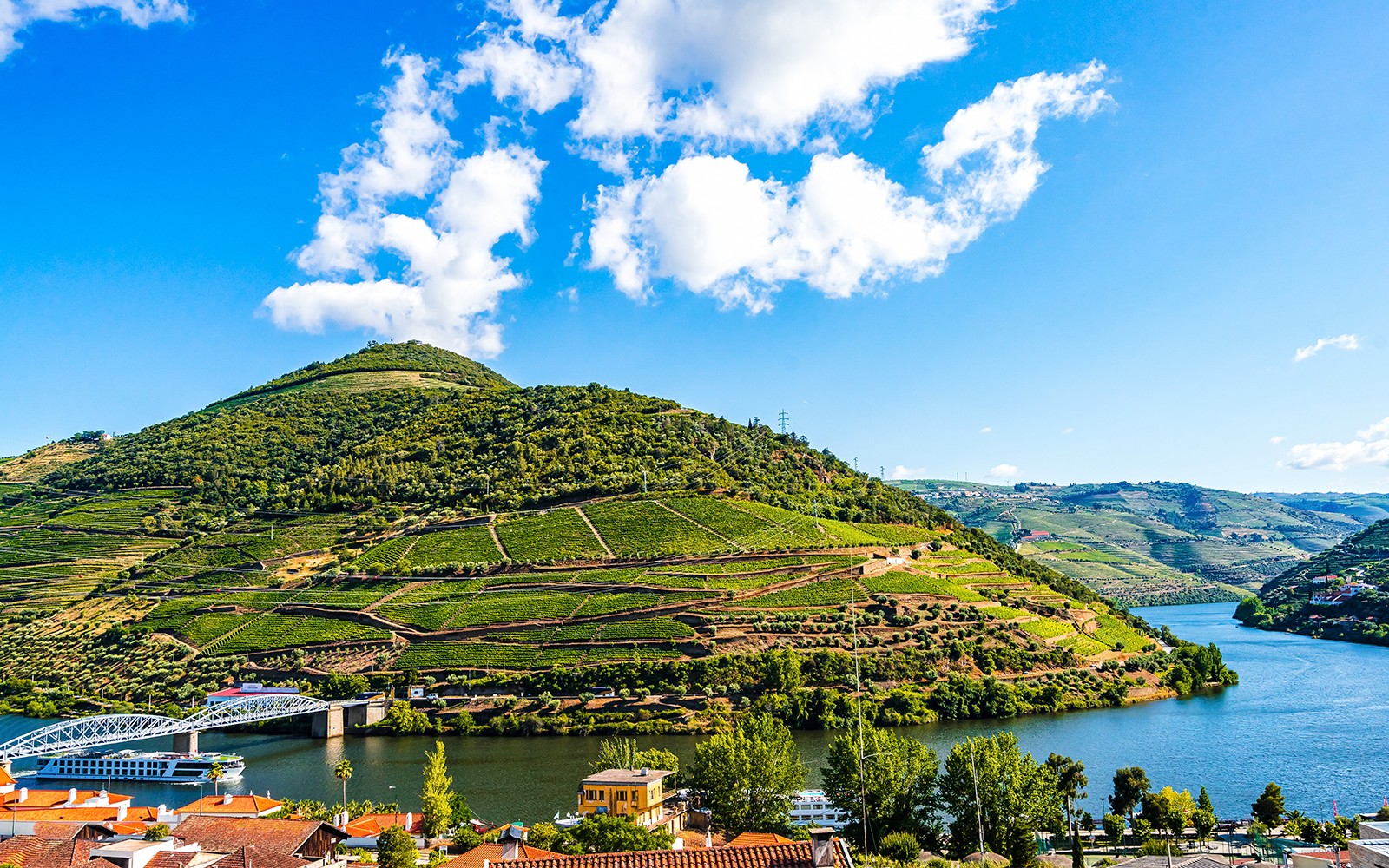 Historic Douro Valley Guided Tour with 1-Hour Pinhão Cruise, Traditional Lunch & Wine Tastings