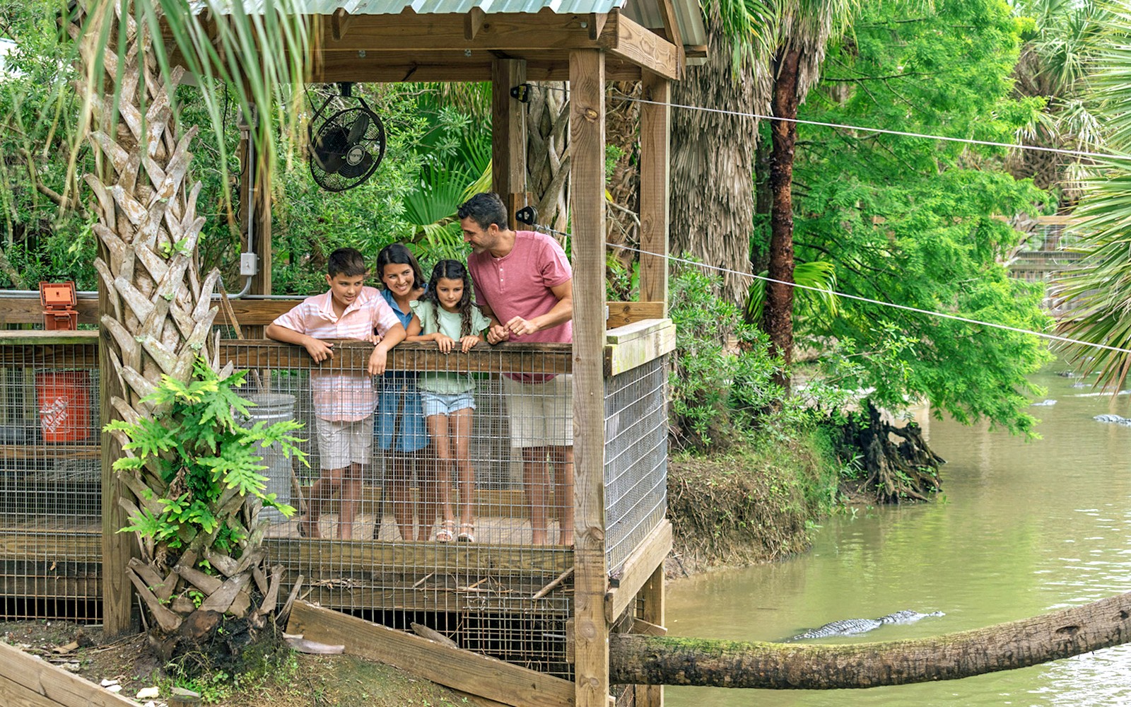 Orlando: Wild Florida 1‑Hour Airboat Tour with Gator Park Tickets