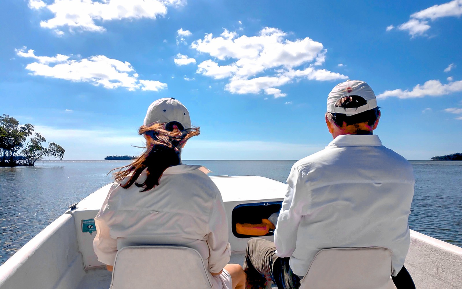 Everglades National Park: Full‑Day Tour with Airboat, Dry Walk & Transportation — gallery 1