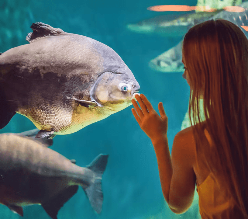 Barcelona Aquarium: Skip the Line — gallery 5