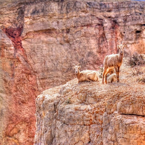 Red Rock Canyon: Self-Guided Driving Tour — gallery 3