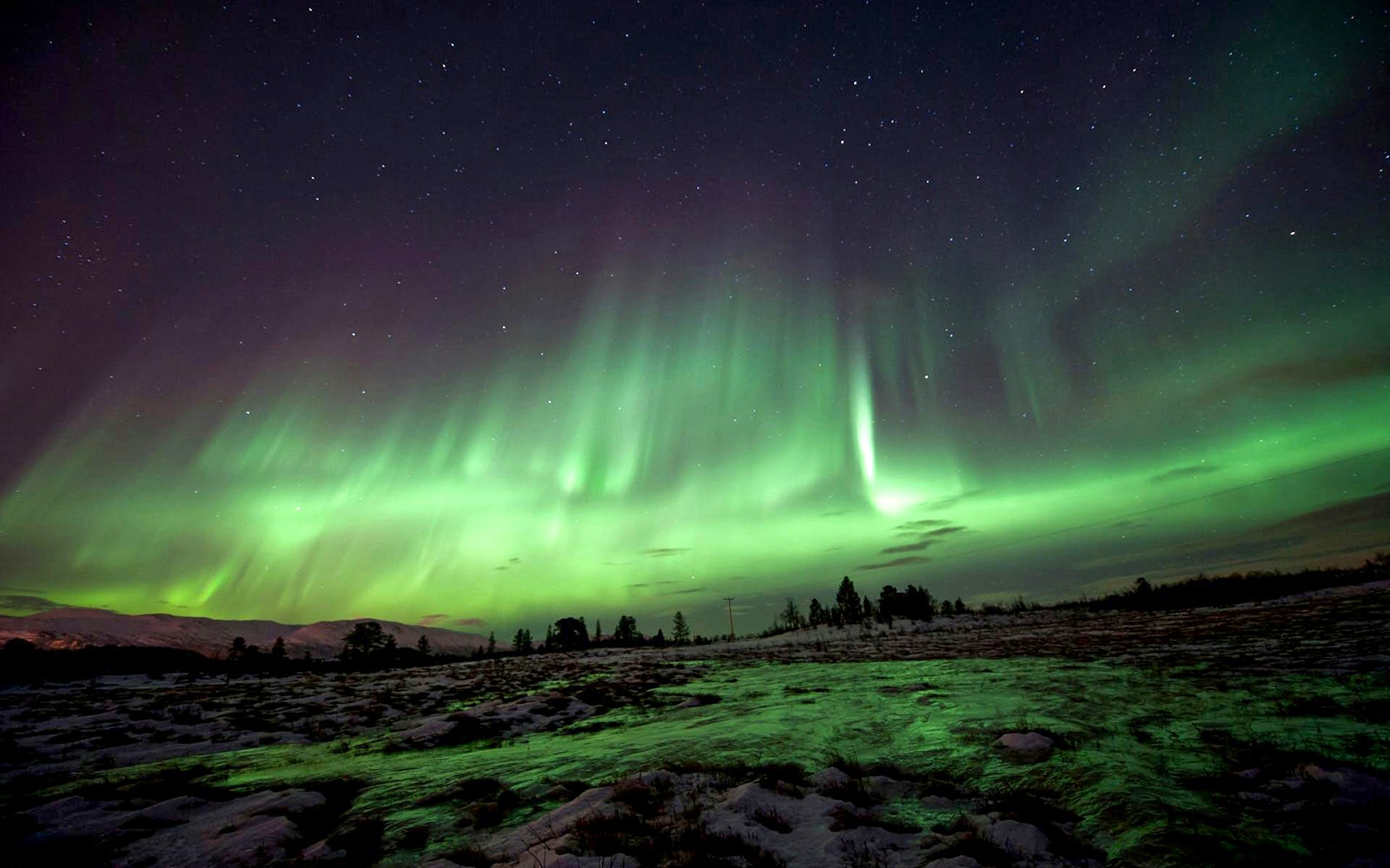 Tromso: Northern Lights & Husky Visit with Traditional Dinner — gallery 5