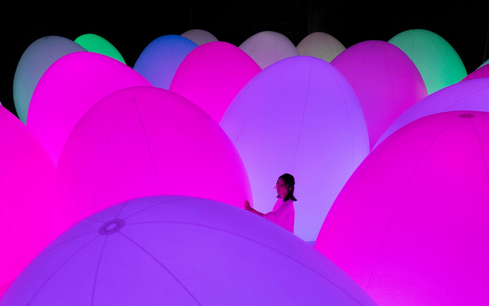 Tickets to teamLab Botanical Garden in Osaka — gallery 2