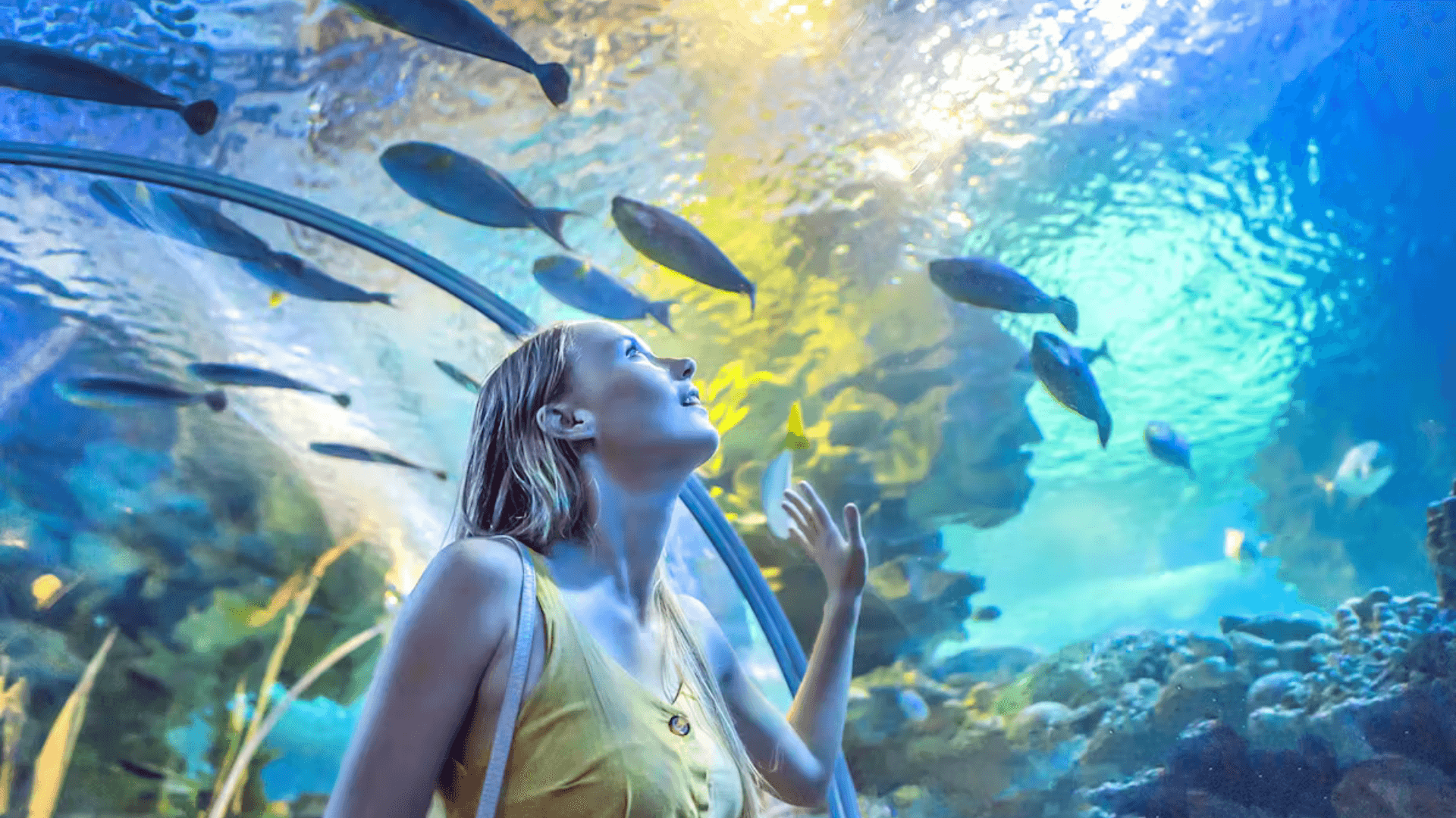 Dubai Aquarium & Underwater Zoo — gallery 2