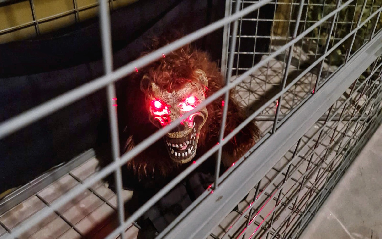 Tickets to Trapped Escape Room: Singapore — gallery 3